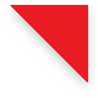 Prodapt Solutions Inc.
